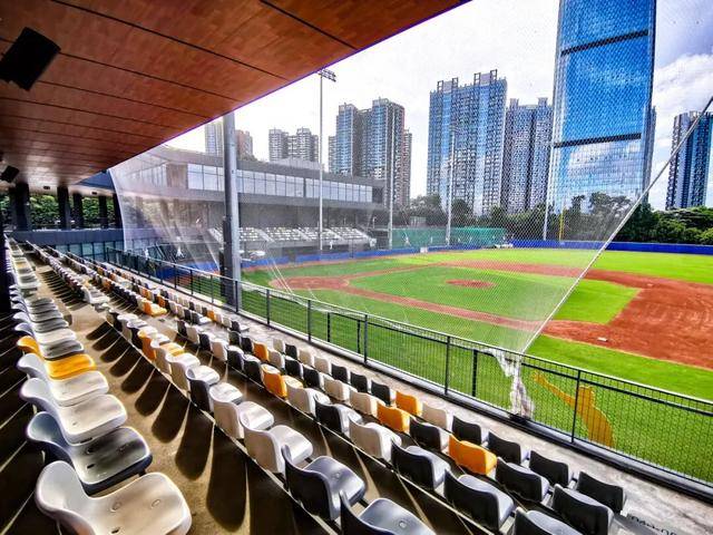 新联赛、新打法、新生态,CPB“上垒”中国棒球商业化新篇章