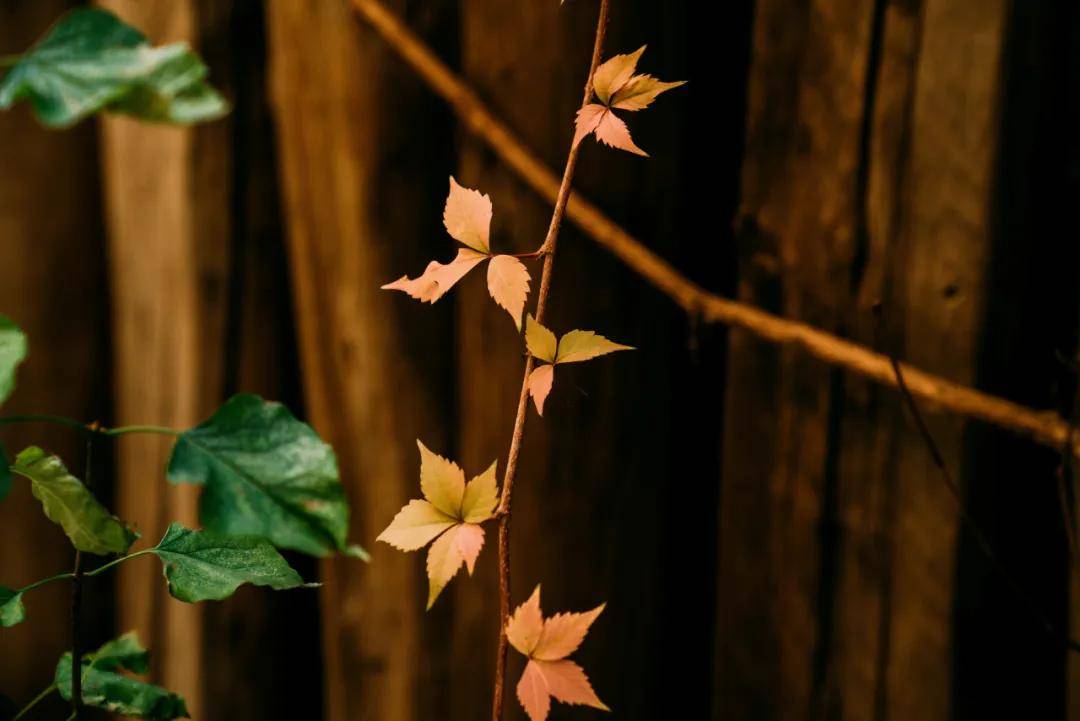 亮点「十月(yuè)·金秋」精彩活动集锦来啦(la)~