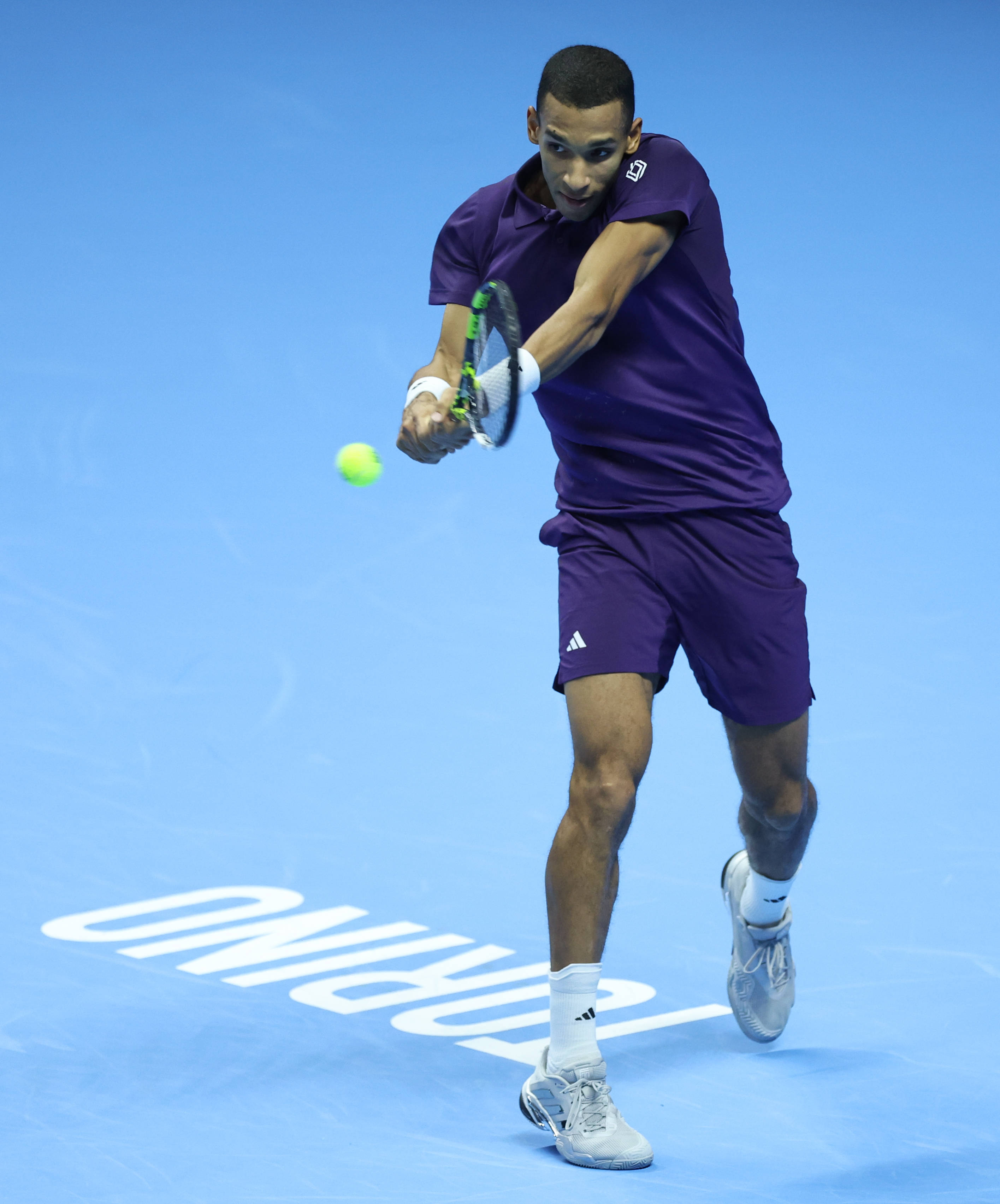 (体育)网球——ATP年终总决赛:奥热-阿利亚西姆胜兹韦列夫