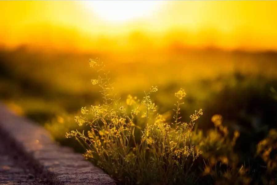 网球大满贯赛事精彩对决