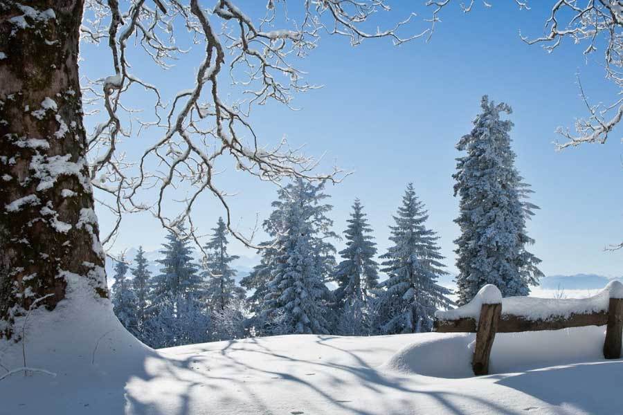 中國(guó)电竞戰(zhàn)队夺得世(shì)界冠军